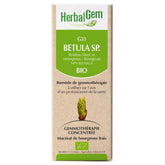 Betula sp. (alba & verrucosa) G33